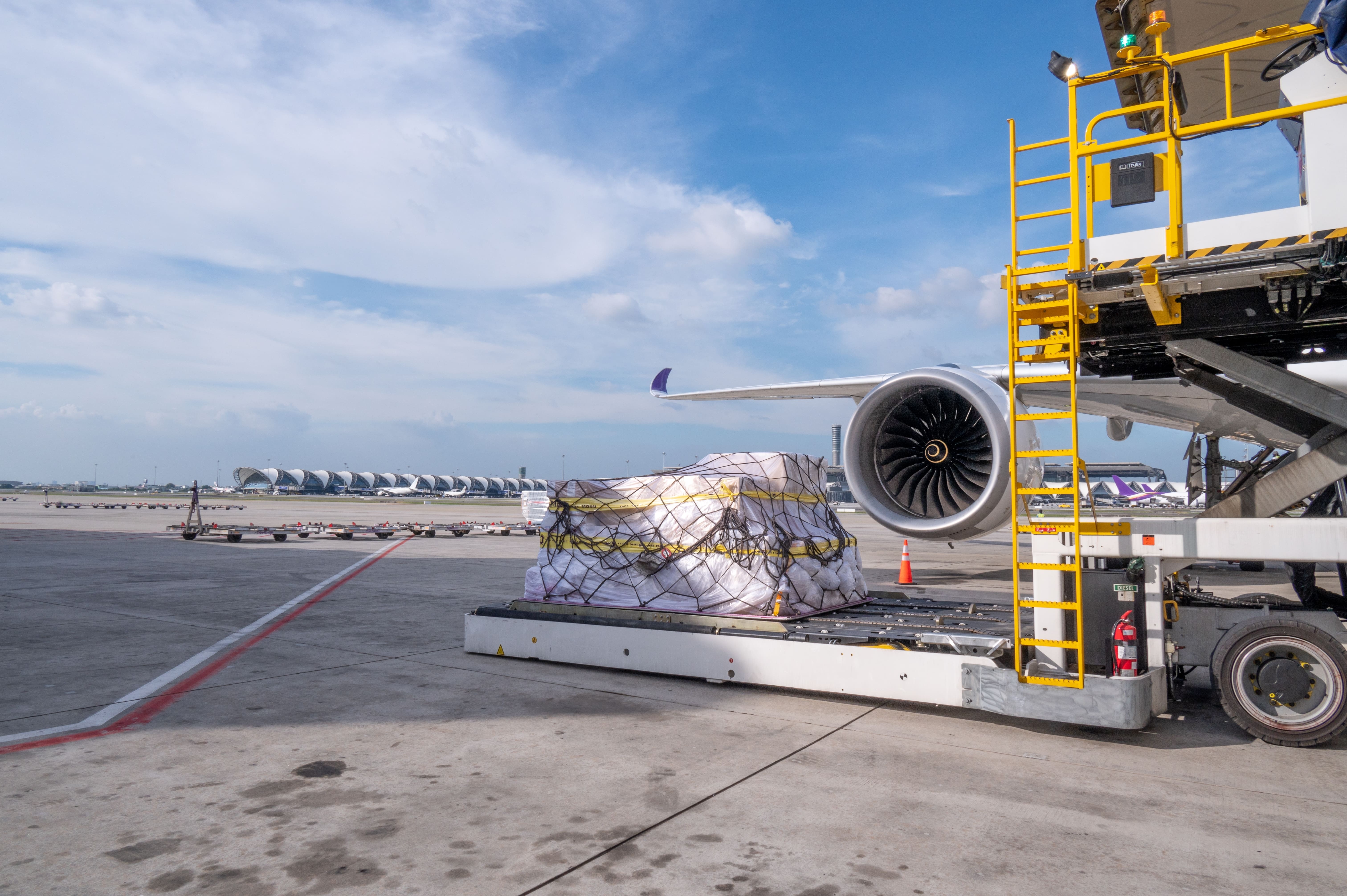 A netted cargo pallet being loaded onto a wide-body freighter on the apron